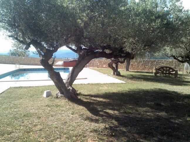 L'Ermita Casa Ripo Hotel Vall d'Alba Exterior photo